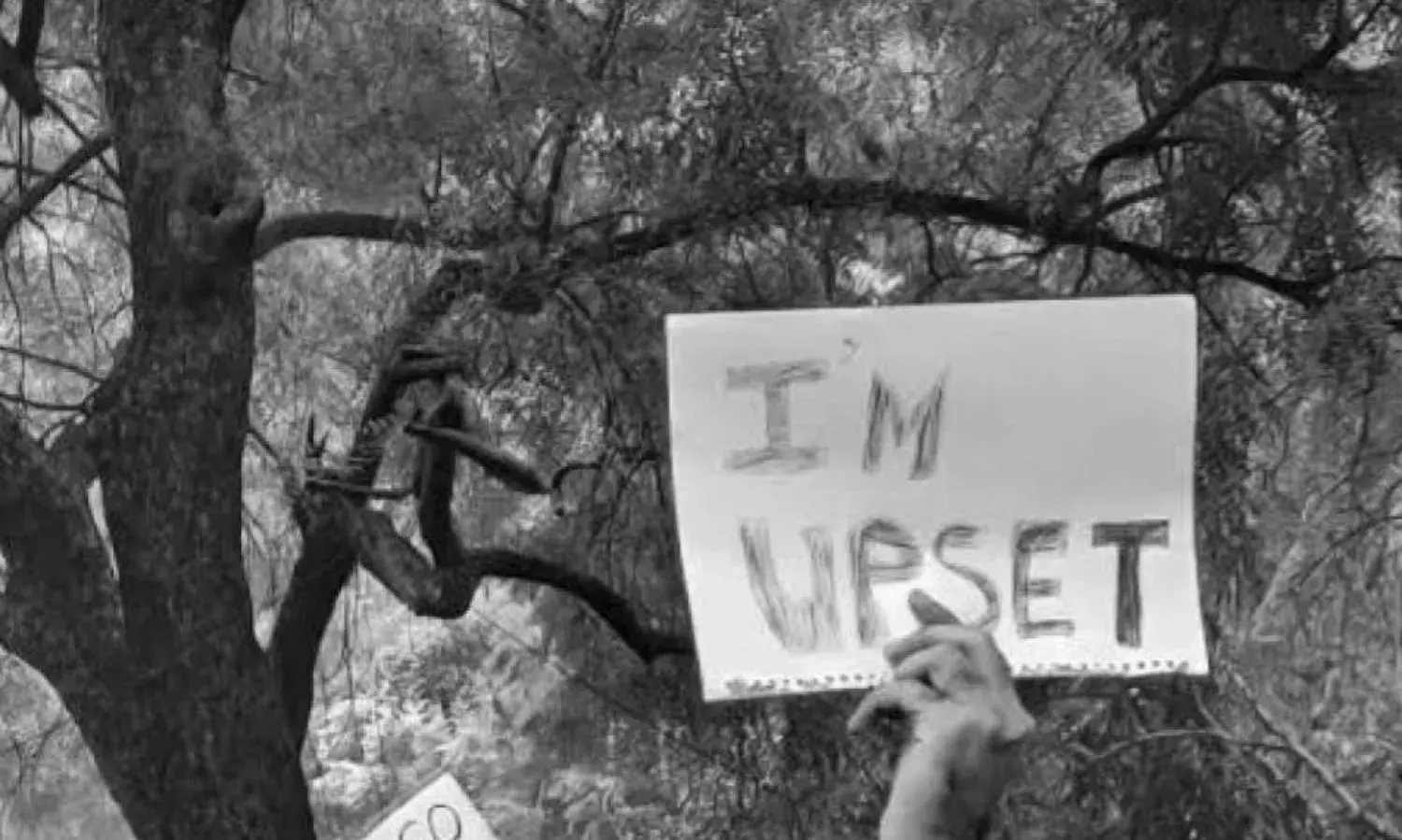 Stop Using my Identity to Enable Majoritarianism: A Pandit Kashmiri against NRC-CAA