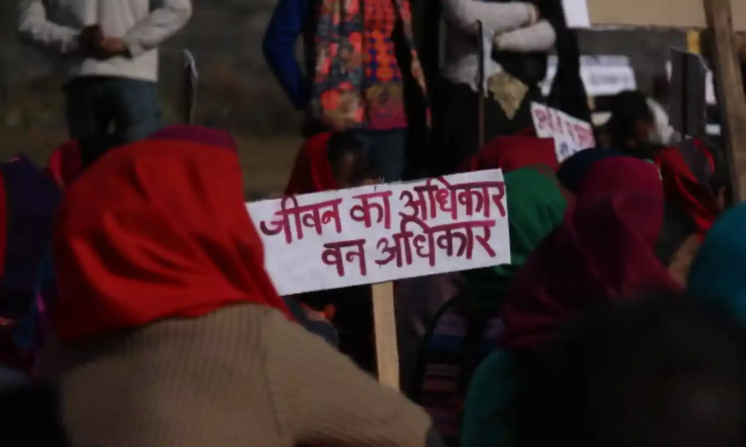 A Woman’s Death and a Renewed Call to End Forced Forest Evictions A Woman’s Death and a Renewed Call to End Forced Forest Evictions