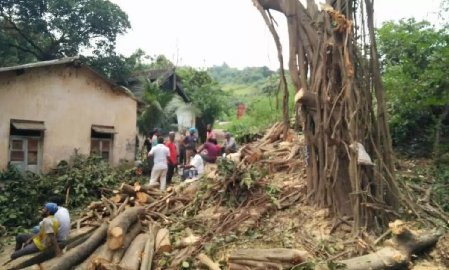 Night of the Chainsaws -When This Boat Sinks There Will be No Survivors Night of the Chainsaws -When This Boat Sinks There Will be No Survivors