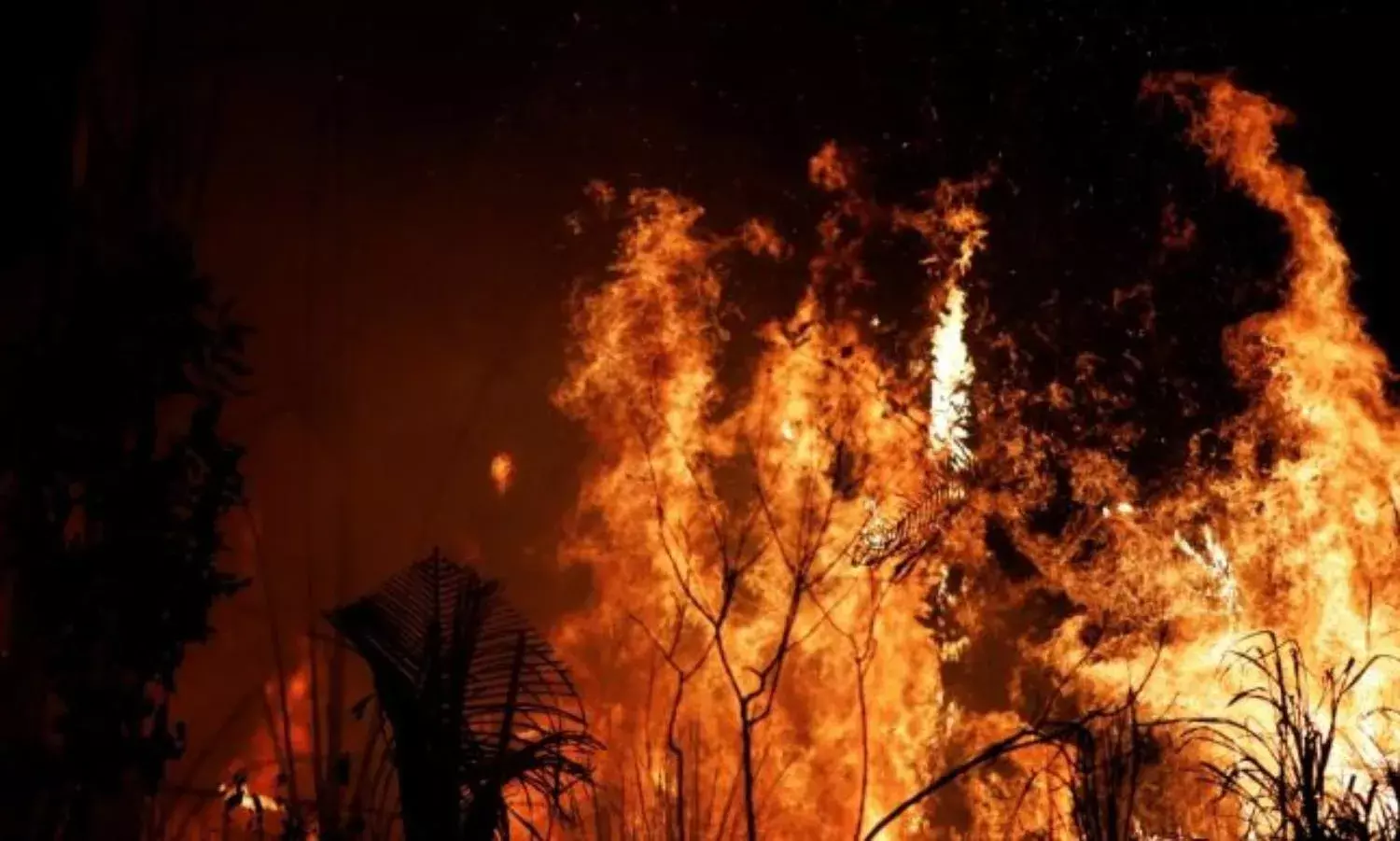 Amazon Fires Clear the Path for Economic Exploitation Amazon Fires Clear the Path for Economic Exploitation