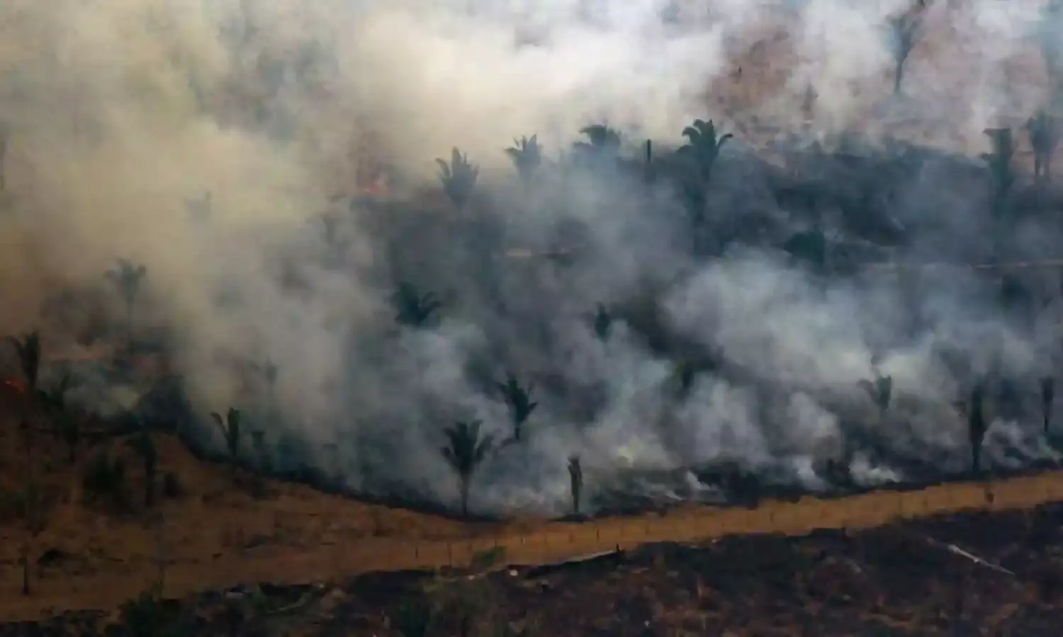 Amazon Fires: The Political Consequences of the Environmental Crisis Amazon Fires: The Political Consequences of the Environmental Crisis