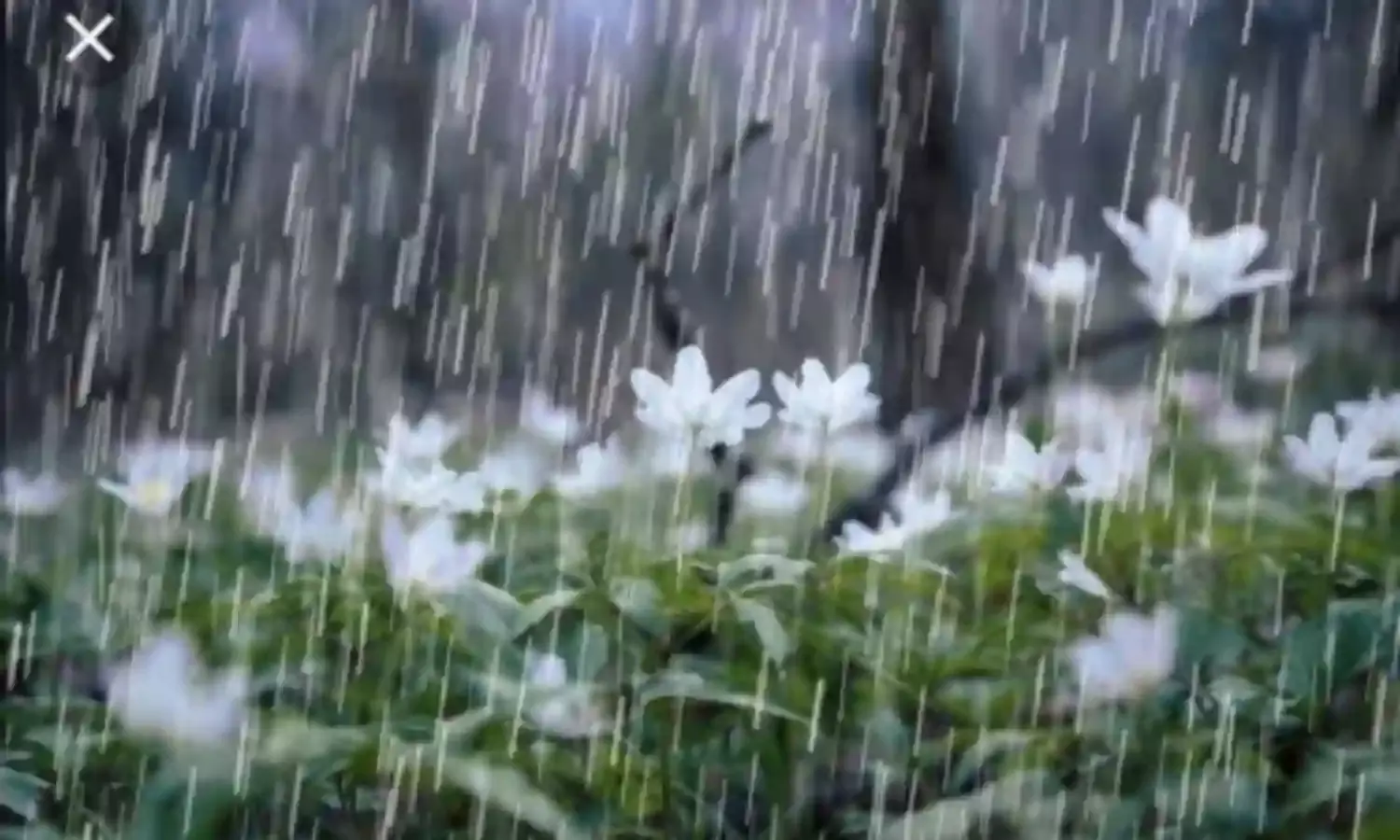 It Never Rains But It Pours