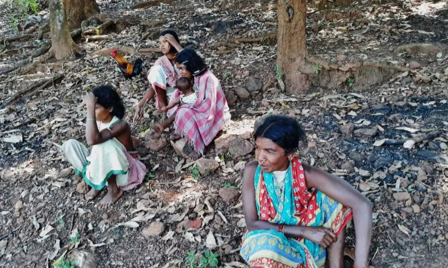 A Mountain That Will Not Bow Down To Corporate Loot A Mountain That Will Not Bow Down To Corporate Loot