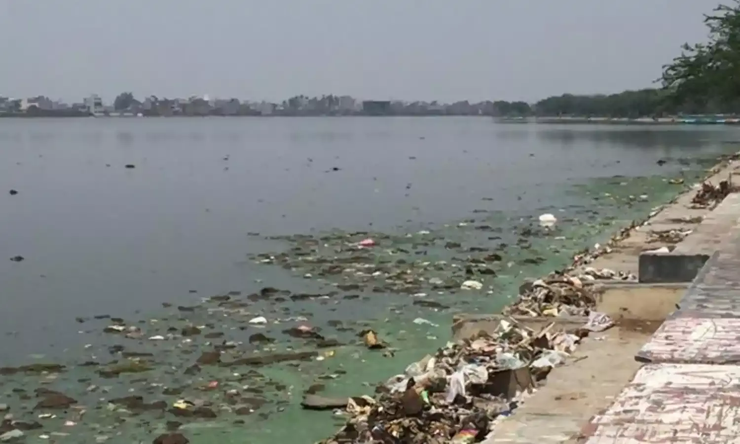 Bhalswa Lake in Northwest Delhi Chokes from Artificial Destruction