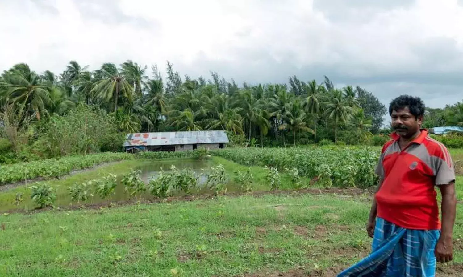 I Saw the Road Crack Open, and I Clung to a Tree, Desperate to Save My Life I Saw the Road Crack Open, and I Clung to a Tree, Desperate to Save My Life