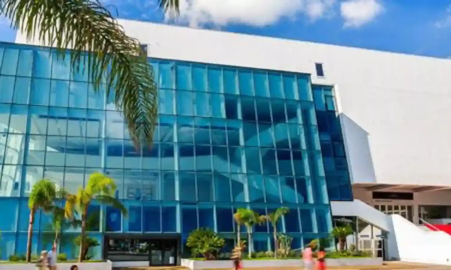 A Week into Cannes, the Race to Win is Baffling A Week into Cannes, the Race to Win is Baffling