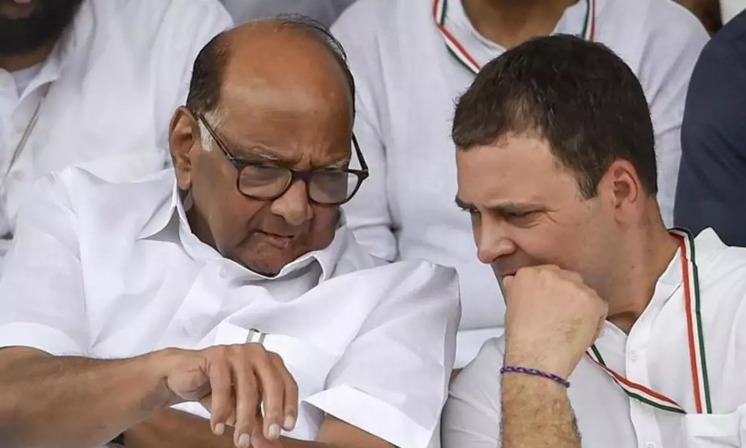 Strongman Pawar Makes NCP-Congress Coalition Come Alive in Maharashtra Strongman Pawar Makes NCP-Congress Coalition Come Alive in Maharashtra