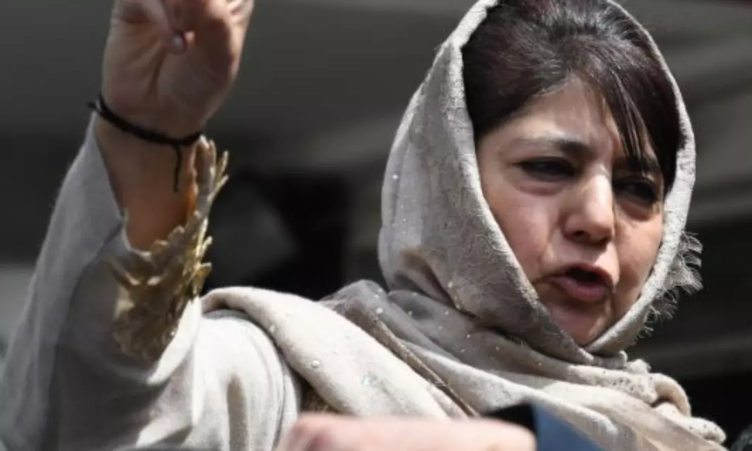 Special Status Poll Plank For Mehbooba Mufti Special Status Poll Plank For Mehbooba Mufti