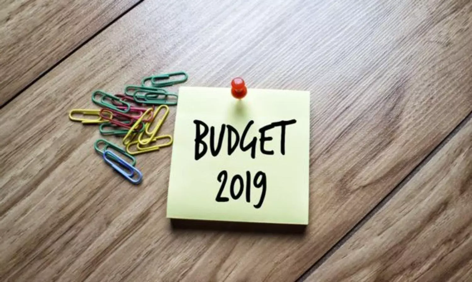 The 2019 Interim Budget Promises a Lot. What Does It Have for You?