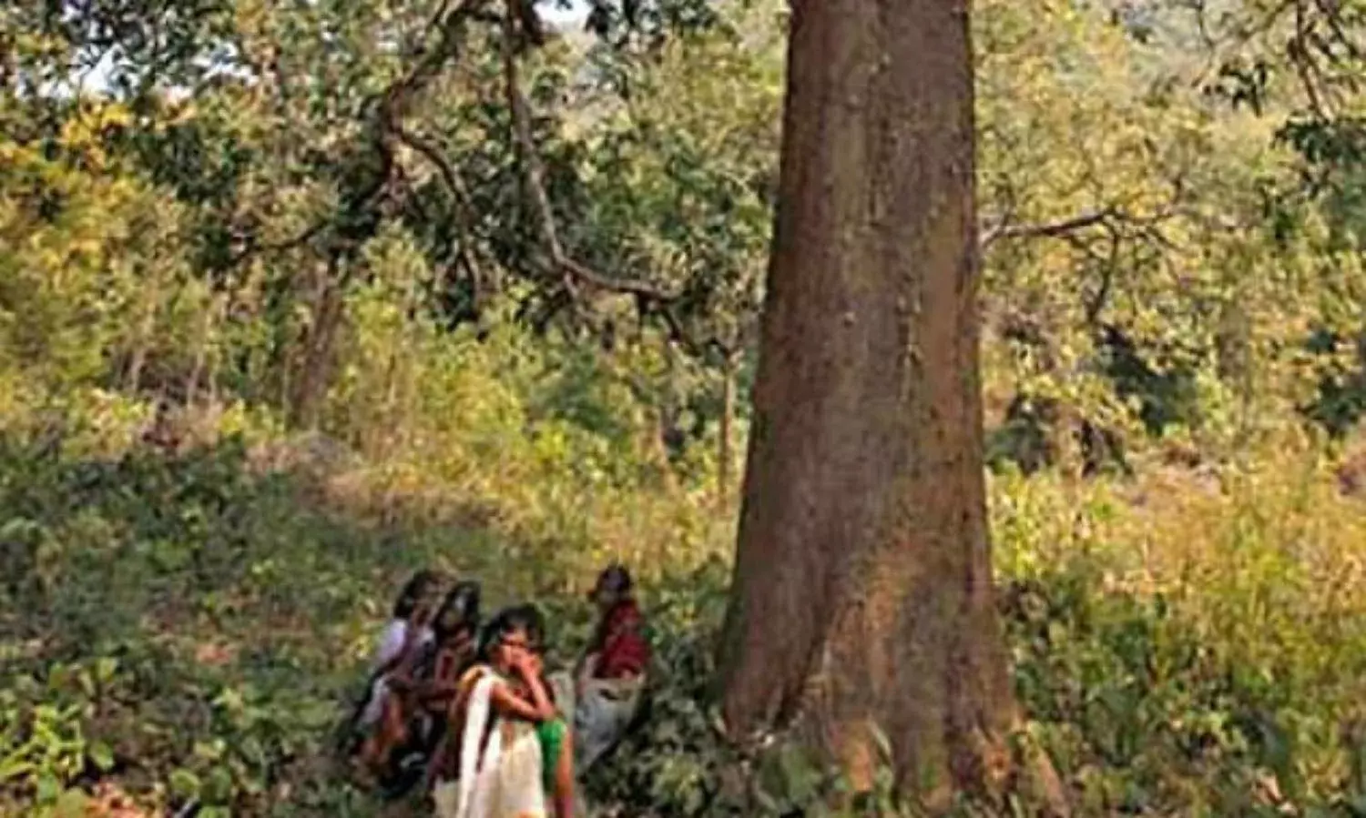 Are Forests Ours, Resources, Homes, or Gods Who Gets to Decide? Are Forests Ours, Resources, Homes, or Gods Who Gets to Decide?