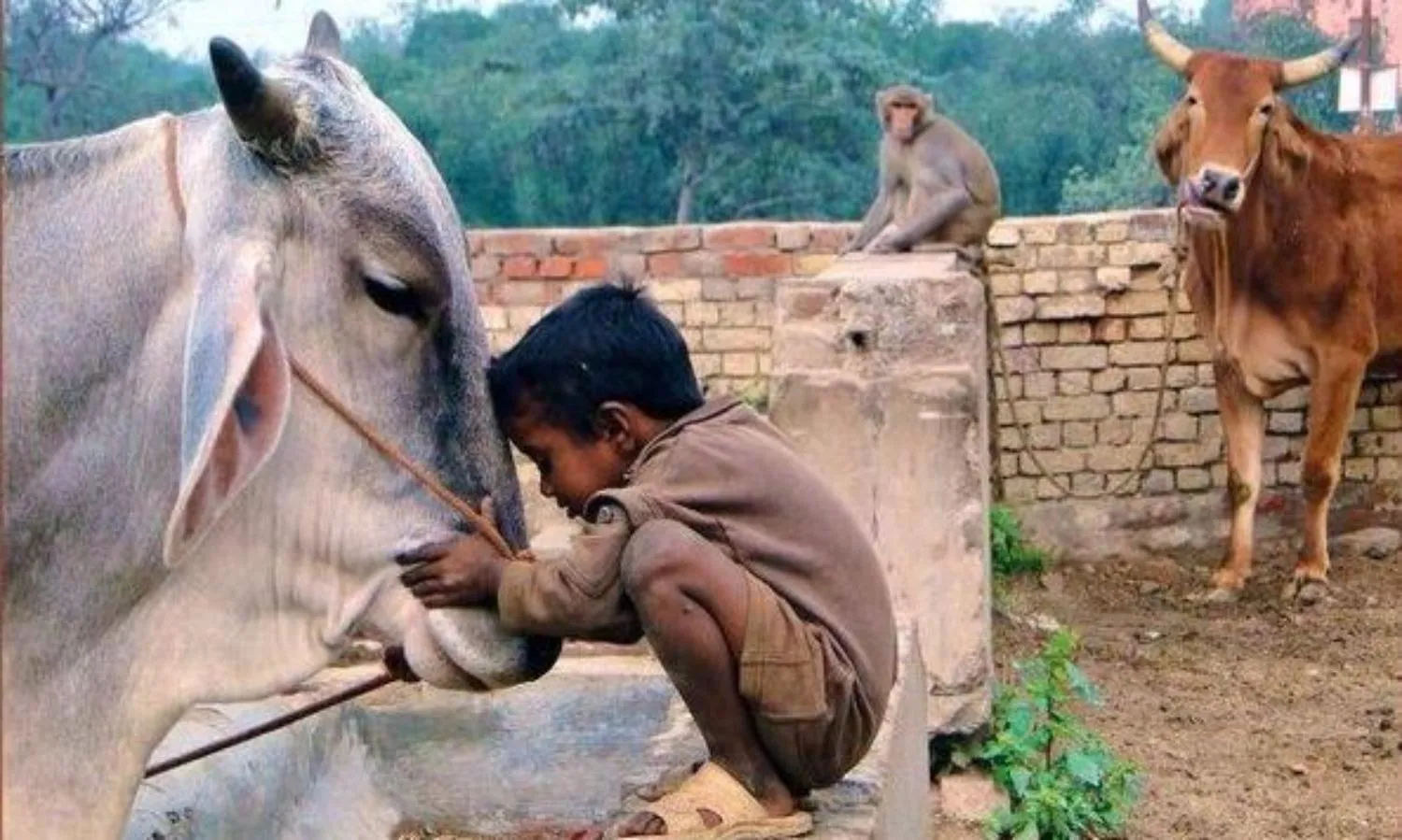 मध्यप्रदेश : भाजपा के नक्शेकदम पर कांग्रेस ! मध्यप्रदेश : भाजपा के नक्शेकदम पर कांग्रेस !