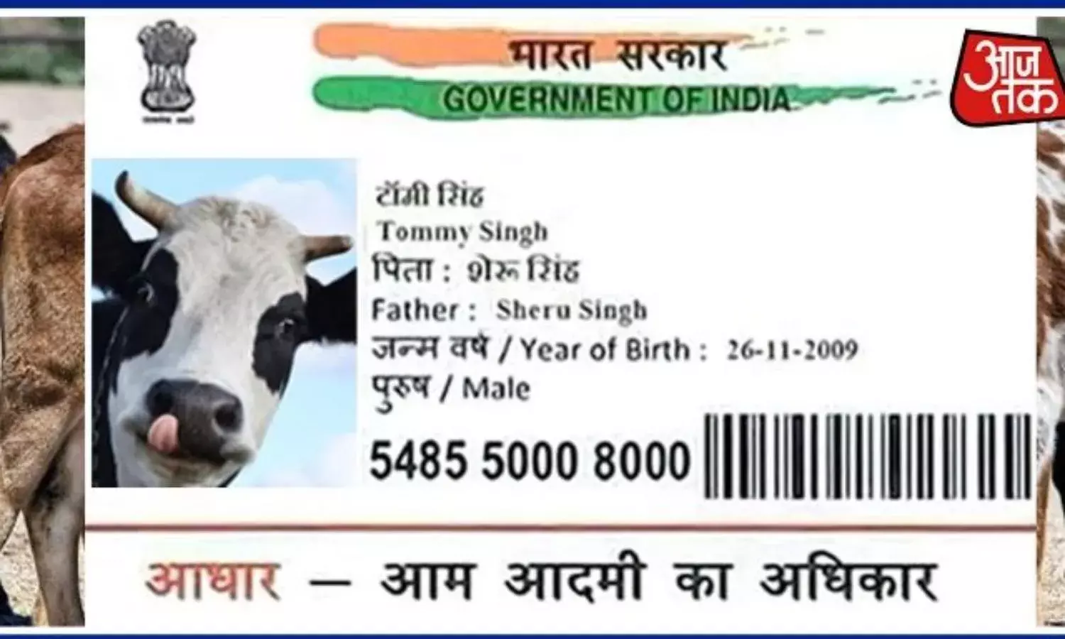 Urgently Needed, A Moo Moo Debate With News Anchors Urgently Needed, A Moo Moo Debate With News Anchors