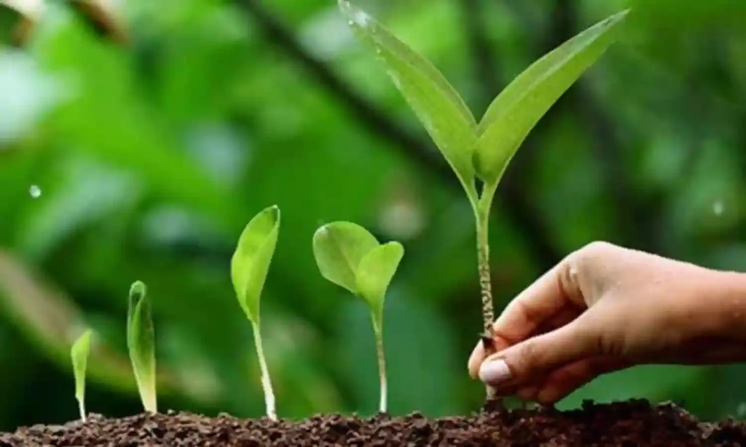 दुनिया के निकम्मेपन की भेंट चढ़ा पर्यावरण संरक्षण इस साल!