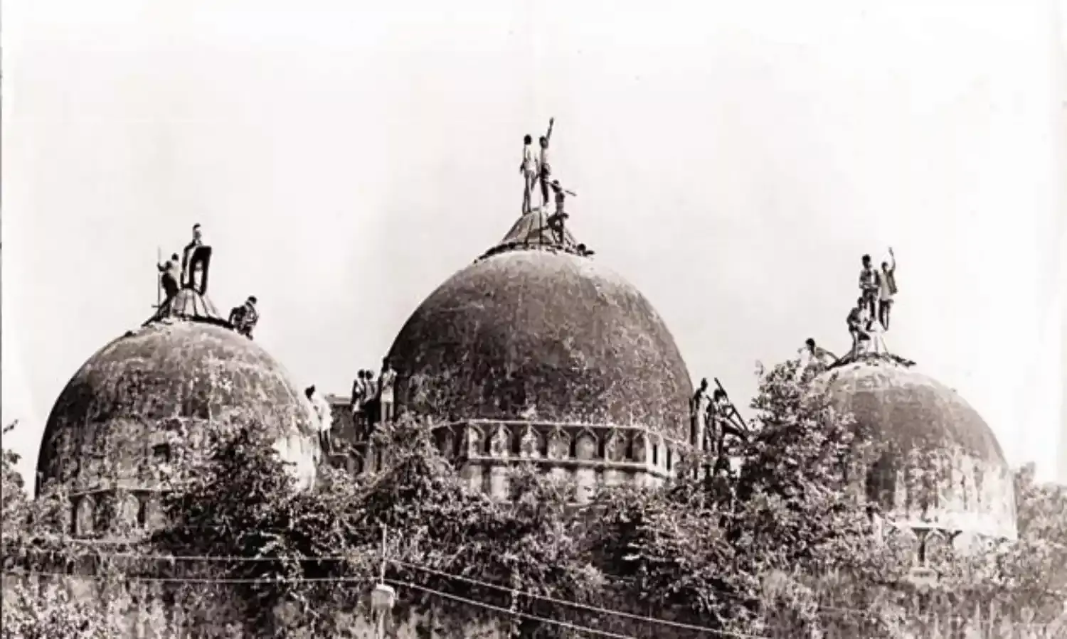 संविधान के रक्षक हैं हम : चन्द्रशेखर, ऋचा सिंह एवं जिग्नेश मेवाणी