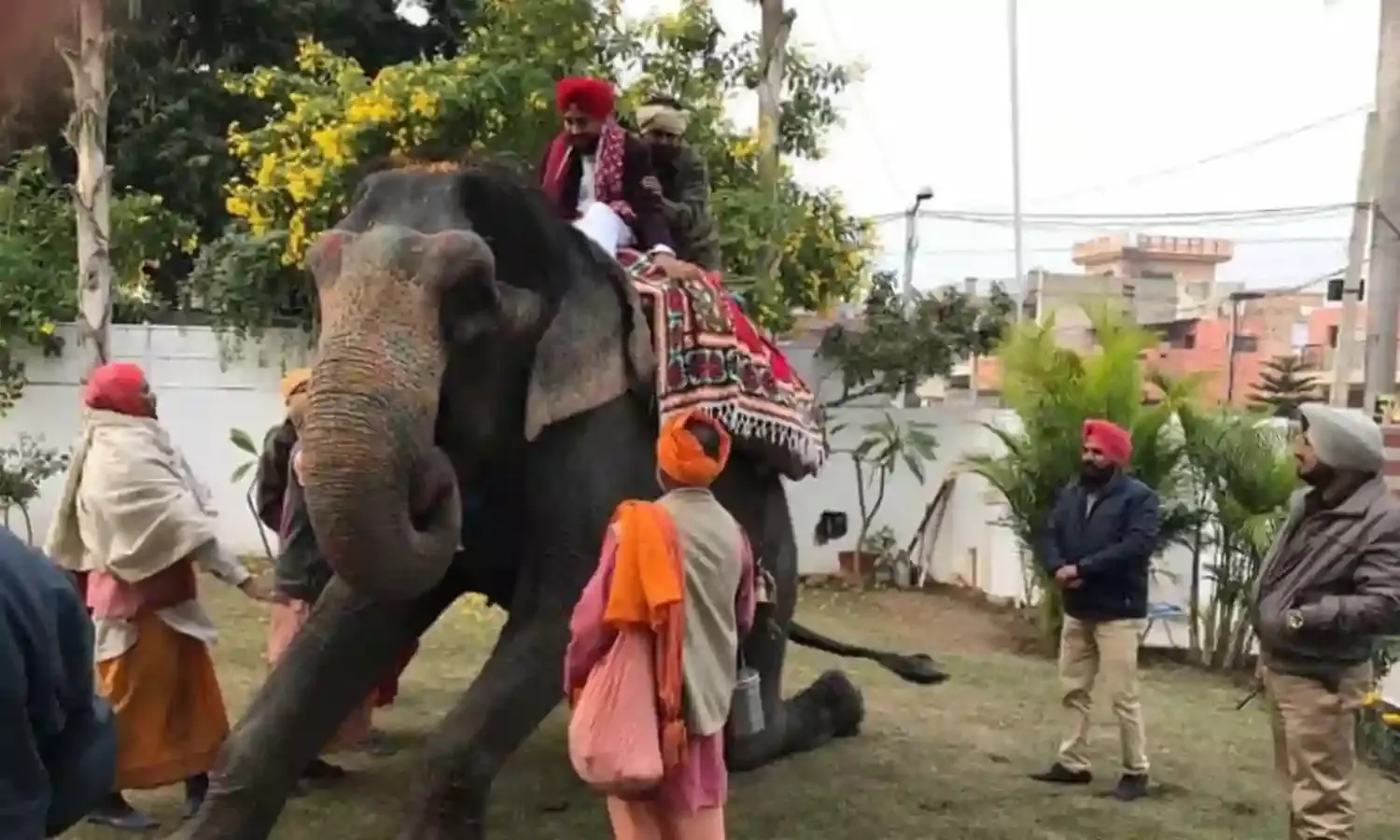 Why are Punjab Politicians Making Asses of Themselves? Why are Punjab Politicians Making Asses of Themselves?