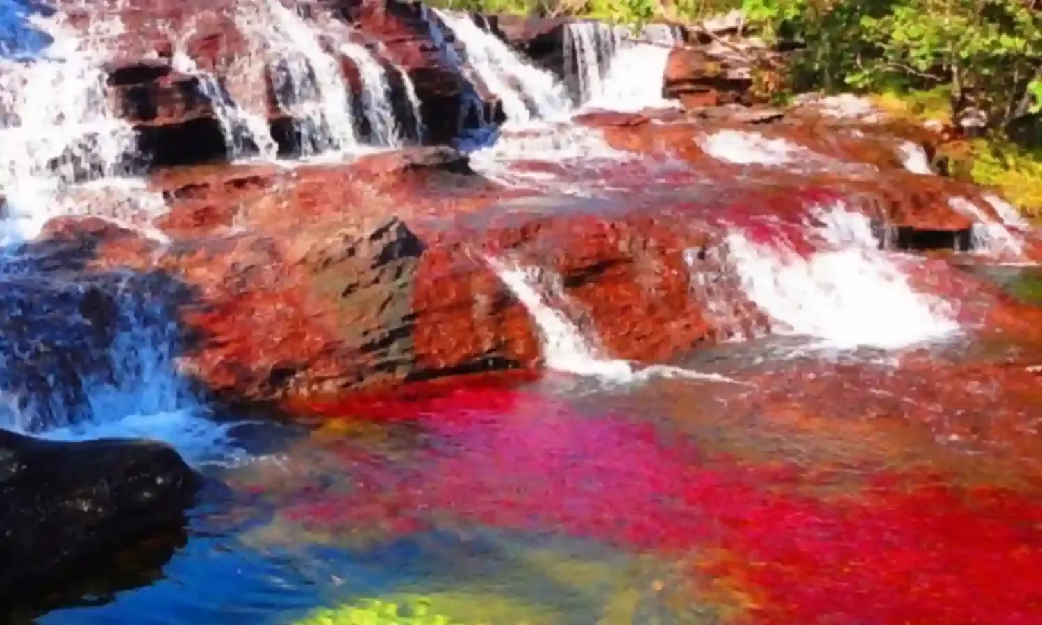 A Summer in Colombia