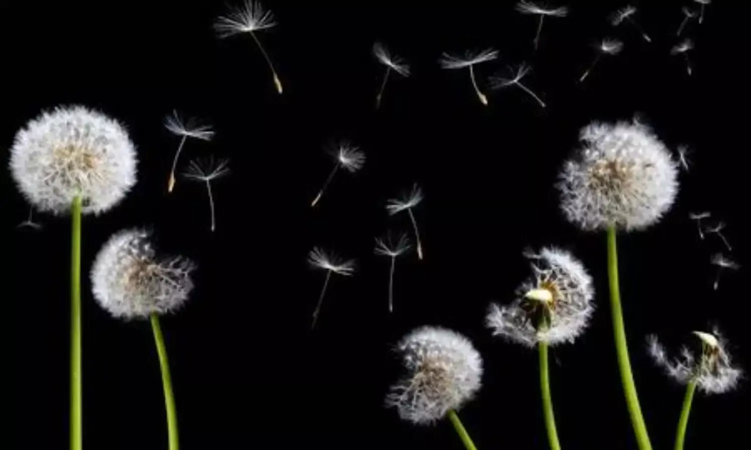 Playing With Emotions Playing With Emotions