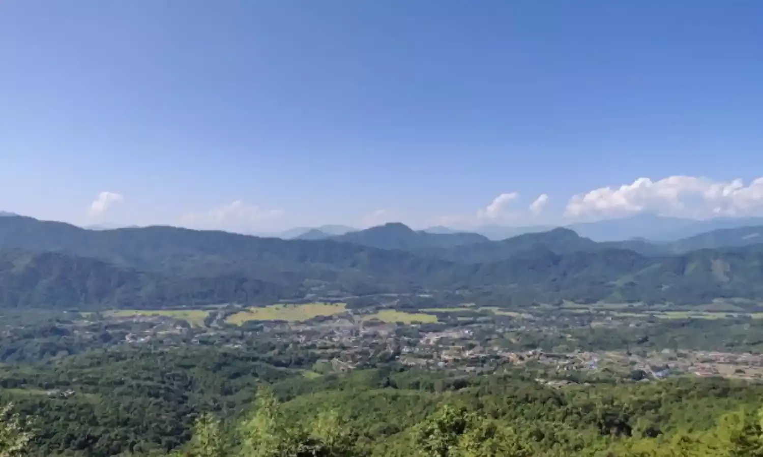 Rejuvenating A Forest In Pursuit Of Water