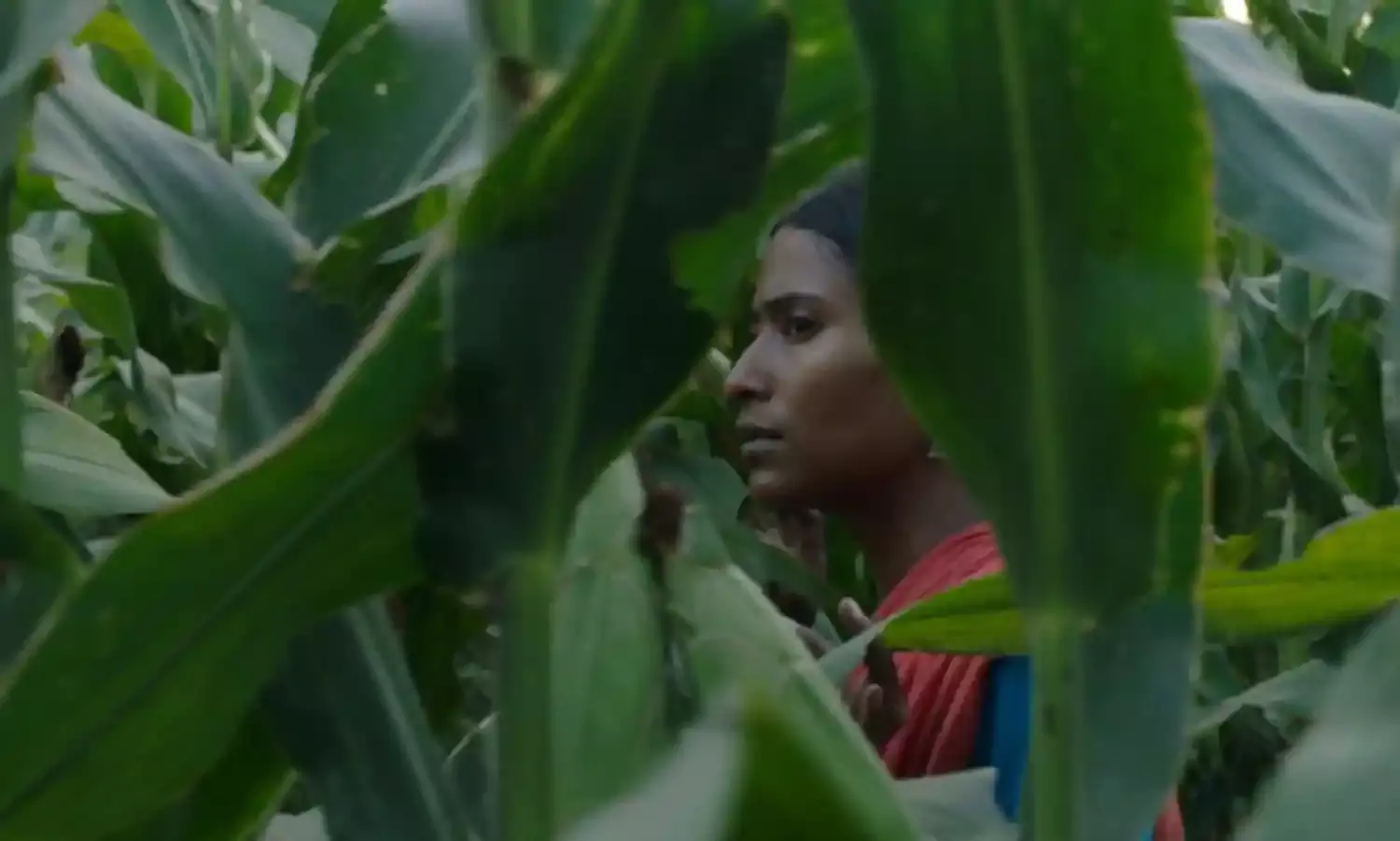 India Shines at the Toronto International Film Fest with two Major Awards India Shines at the Toronto International Film Fest with two Major Awards