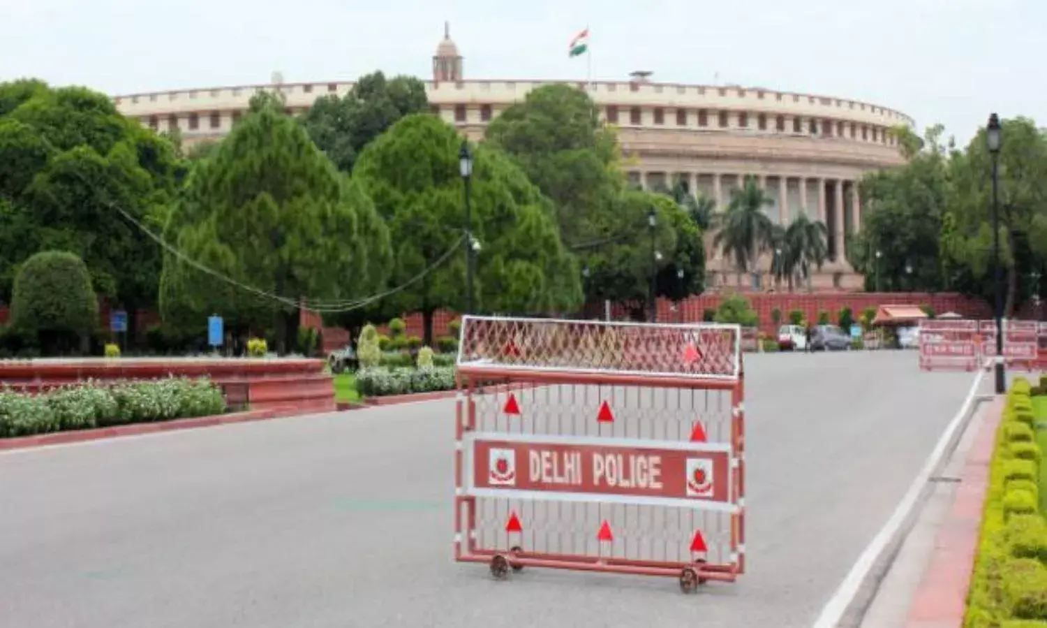 Corruption And My Dog Charlie