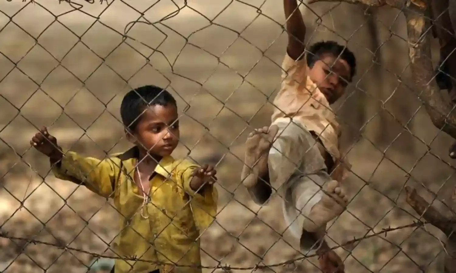 The Economic Strangulation of Bihar