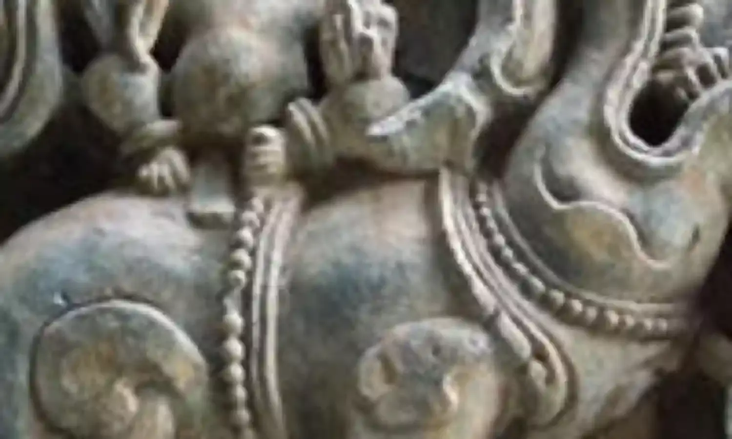 जैव विविधता बचाने के लिए आधी दुनिया