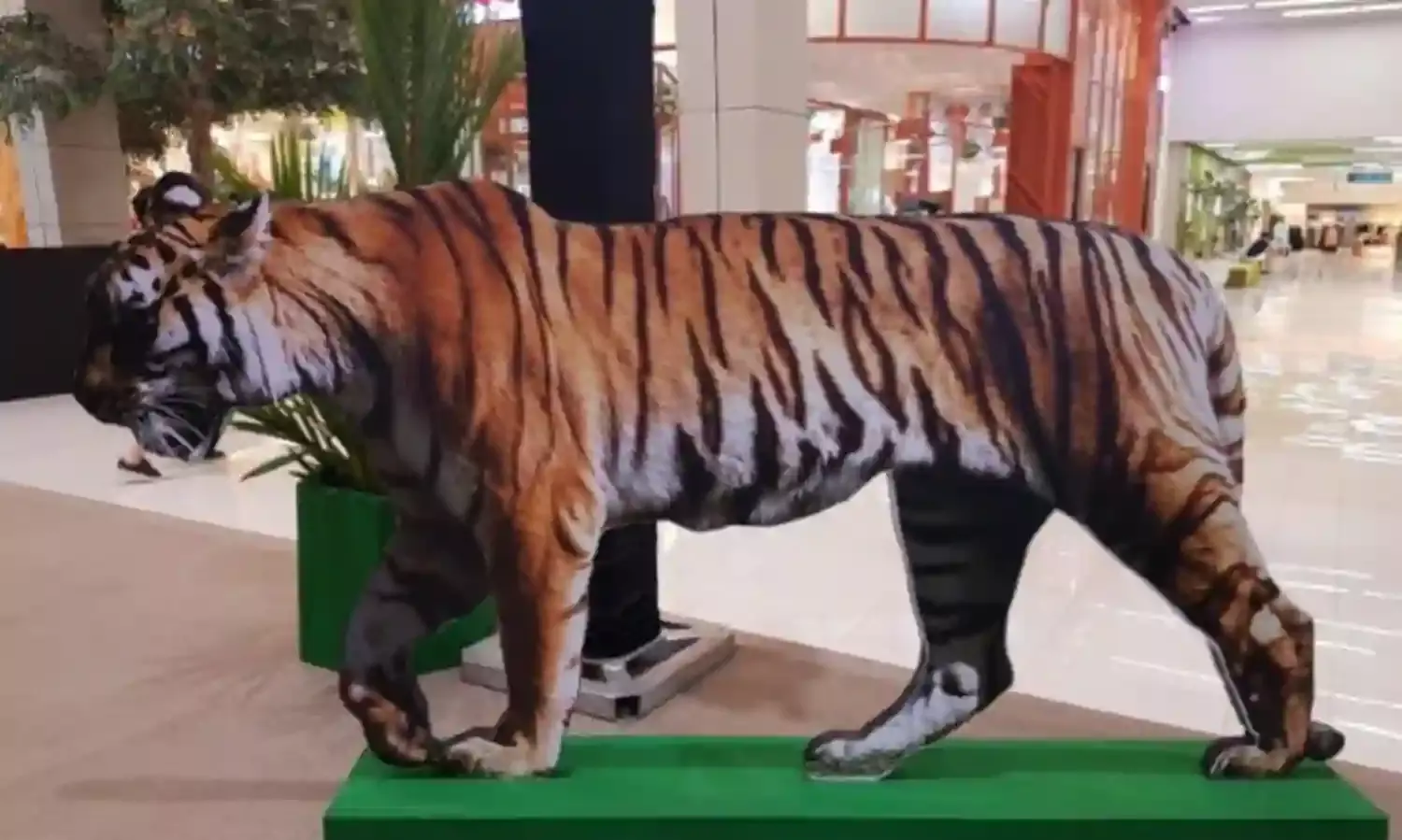 And Now, A Zoo In Corbett National Park And Now, A Zoo In Corbett National Park