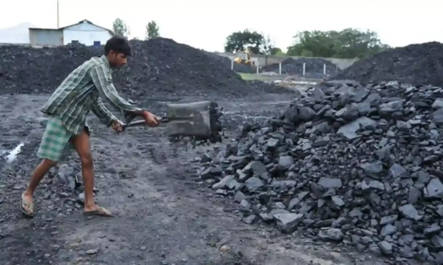 गोवा में अदालत ने अवैध खनन के लिए भाजपा सरकार को फटकार