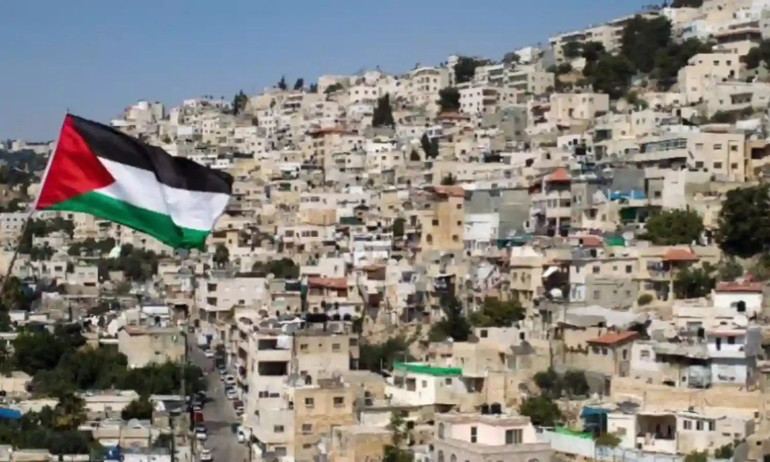 A Voice of Resistance From Gaza: We Have 12 Million Mandelas in Palestine