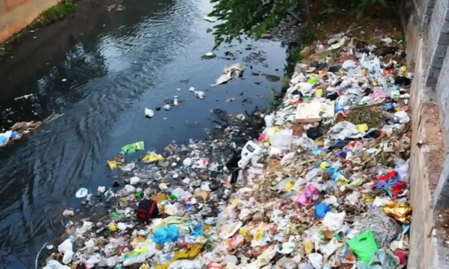 सर्वनाश भारत अभियान