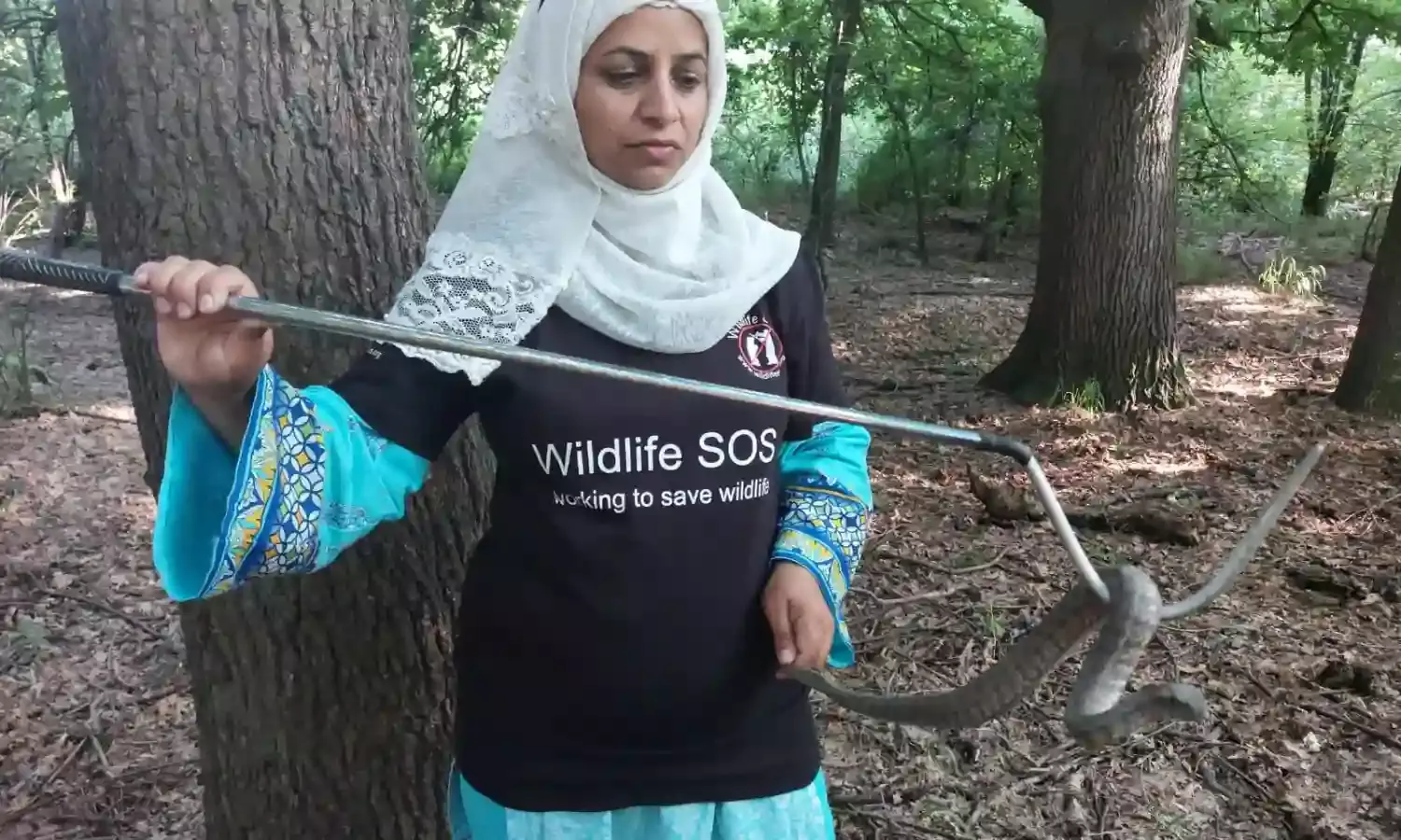 Meet Aliya Meer, Kashmirs Wildlife Expert Meet Aliya Meer, Kashmirs Wildlife Expert