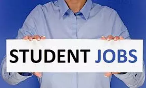 What type of part time jobs a student can do while studying masters in USA?